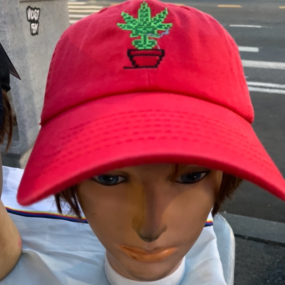 Bud plant dad hat red